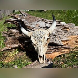 Embellished Bull Skull Wall Accent - Pearl & Rhinestone Detail
